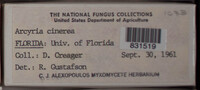 Image Associated With the Occurence